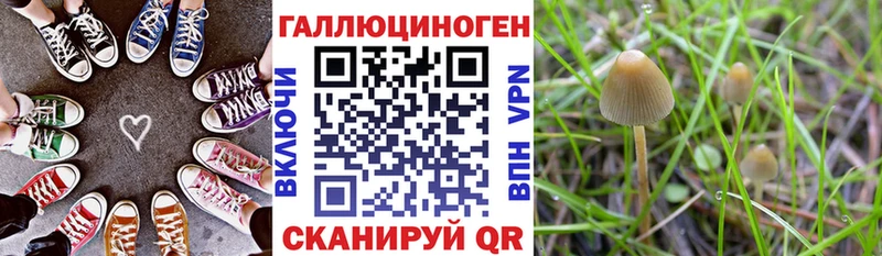 сколько стоит  ОМГ ОМГ онион  Галлюциногенные грибы мухоморы  Шали 